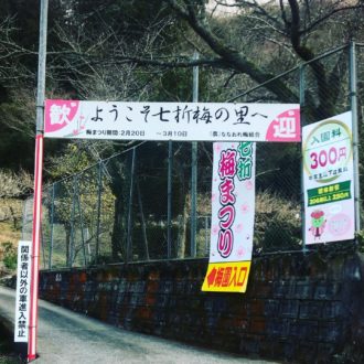 七折梅まつり開催しまーす🌸✨...