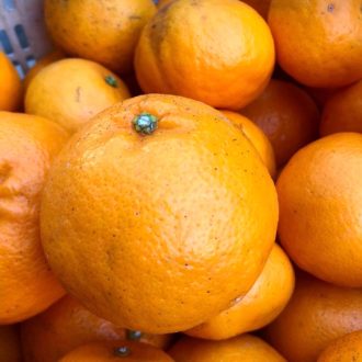 はるみちゃん完売致しました🍊...