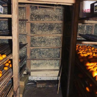 柑橘の貯蔵庫🍊...