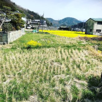 田植えの準備スタート🌾...