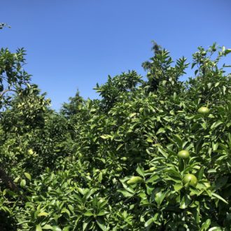 夏休みに入りましたー✨...