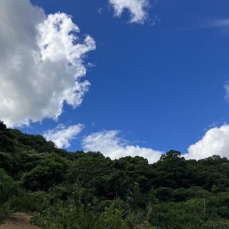 農作業も音楽があると🙆‍♂️🙆‍♀️...