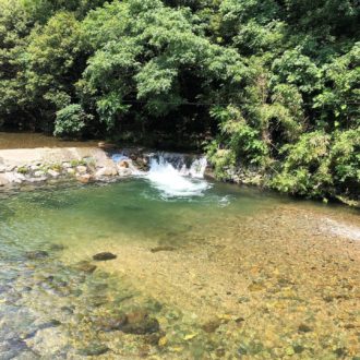 夏休みといえば🍉⛱...