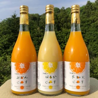 柑橘ジュース人気頂いています🍹...