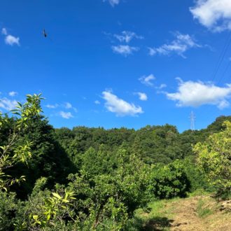 快晴とはこの事☀️✨...