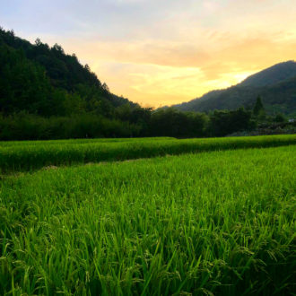 日暮れも早くなってきましたね🌇...