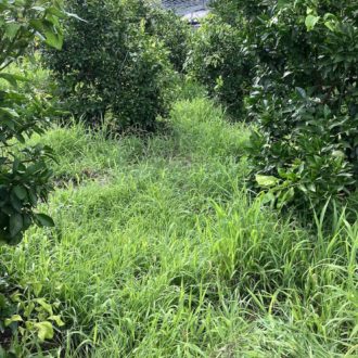 ひと段落👩‍🌾💦...