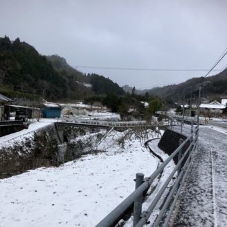 メリークリスマス🎄🎁...