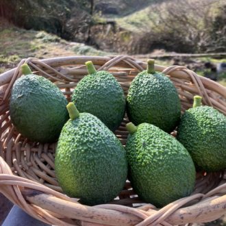 アボカド残り僅かとなりました🥑...