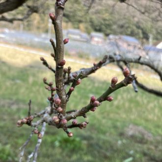 今年は期待しています🙌...