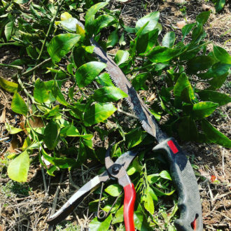 秋に向けて🍊...