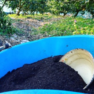 肥料やり👩🌾...