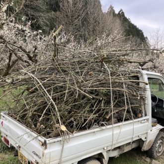 剪定木は片付けが大変💦...
