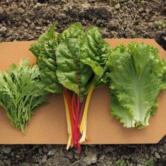 10年連続受賞🎊✨...