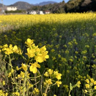 すっかり春の陽気🌸✨...