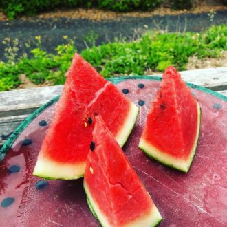 春のアンテナスイカ間も無く終了🍉...