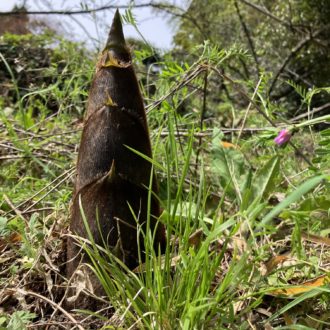 春、感じてますかー🎍...