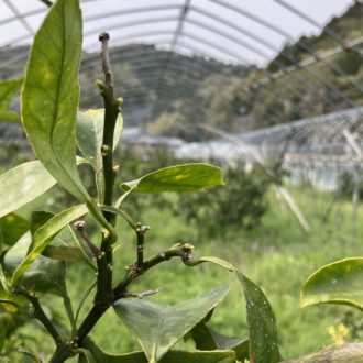 春を待っていたのは人間だけじゃない🙌...