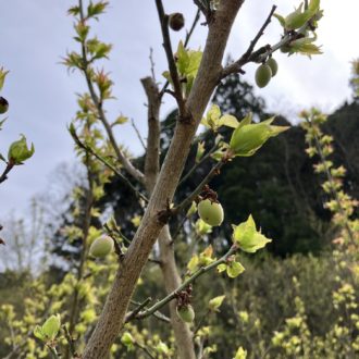 小梅ちゃん😊🙌...