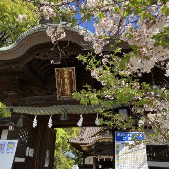 本日はいつくしマルシェに出店✨...