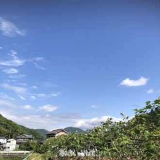 農作業も捗ります👩🌾...