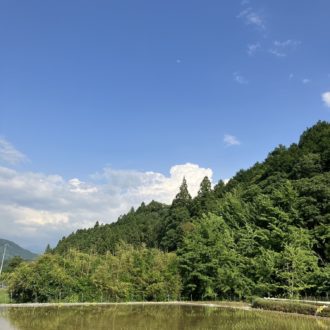梅雨の晴れ間✨...