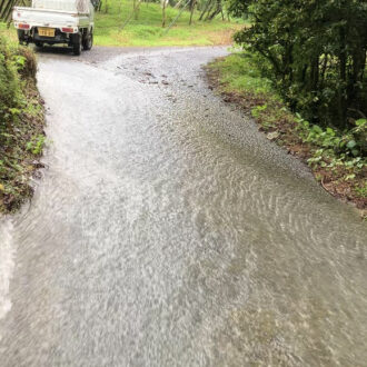 バケツををひっくり返してしまいました☔️🪣☔️...