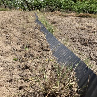 畦作り🧑‍🌾...