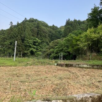 そろそろ田植えも始まります🧑‍🌾...