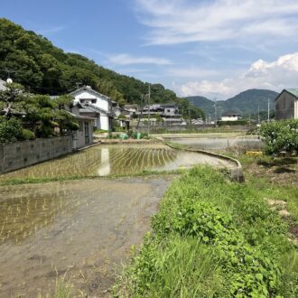 今年の田植えも終わりましたー🧑‍🌾...