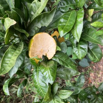 食べんといてって言ったやん🥺💦...