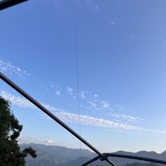 陸から空から🍊🐦‍⬛🐗...