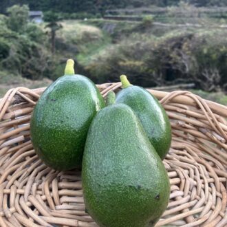 残り1点となりました🥑...