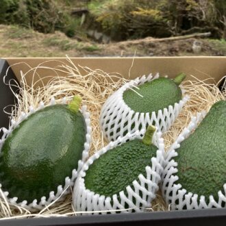 今年のお歳暮はお決まりですか🥑...