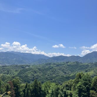 急に梅雨明け☀️...