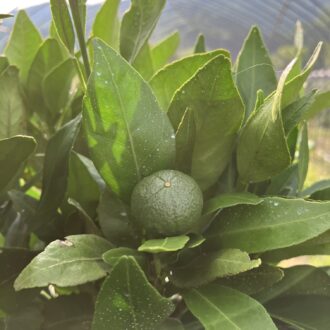 今年も半分終わりですね🏃‍♂️...