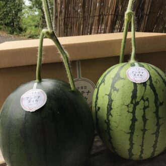 スイカの食べ比べ🍉✨...