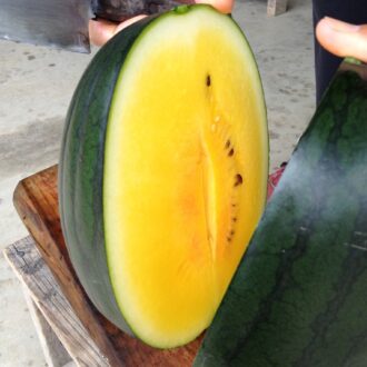 黄色いスイカ🙌✨...