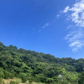 7月もはや中盤✨...