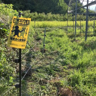 今年も来ないでね🐗...