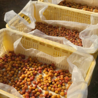 お問い合わせありがとうございます😊✨...