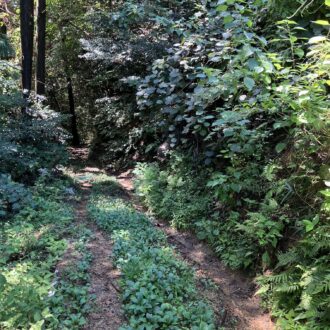 日陰を求めて🧑‍🌾...