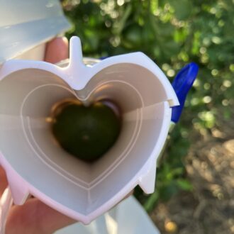 ハートレモンならぬ🍋🍊✨...