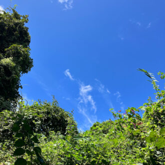 まだまだ抜けるような青空☀️...
