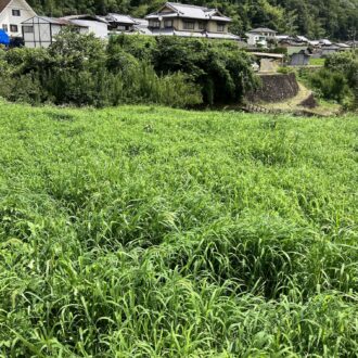 まだまだ暑いですからねー🥵💦...