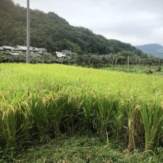 あいにくの雨模様💦...