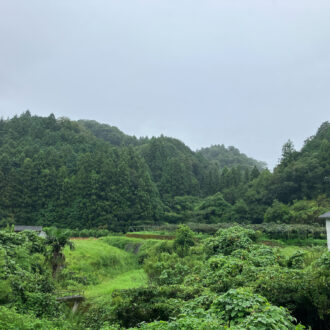 欲しい時に☔️...