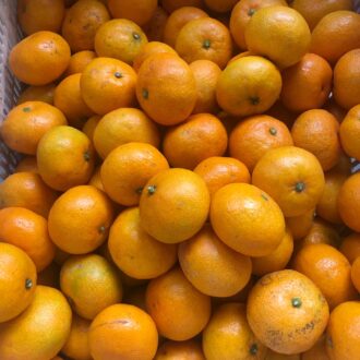 温州みかん販売中🍊...