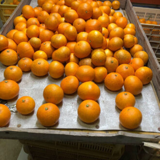 年内納品間に合います🍊✨...