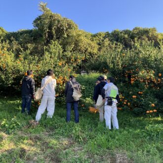 農業体験会へ🧑🌾🍊...